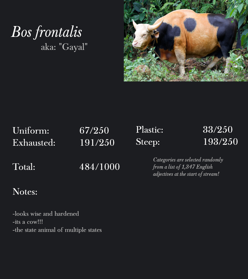 Bos frontalis